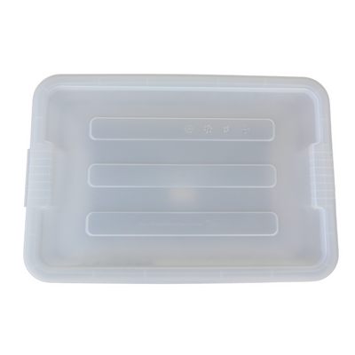 Above view of a clear storage container looking at the ribbed lid design.